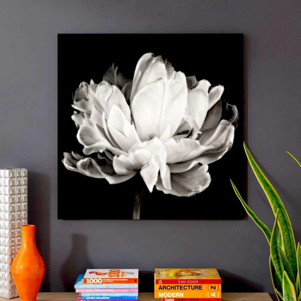 24" H x 24" W x 2" D Tulipa Double Black White Framed On Canvas | NWOT